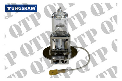 1003G_Bulb.jpg