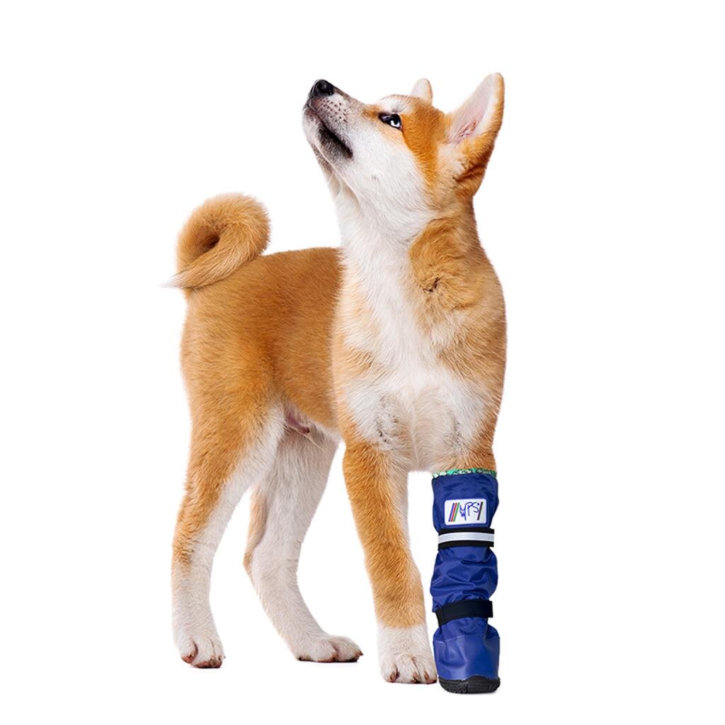 Medical PetS Boot J.A.K Marketing