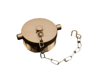 Brass Plug, 2-1/2" NST