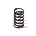 VALVE SPRING