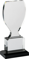 23cm Cup Clear/BK Crystal Award (Satin Box)