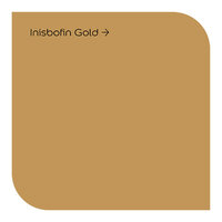 Dulux Weathershield Inisbofin Gold Colour Swatch