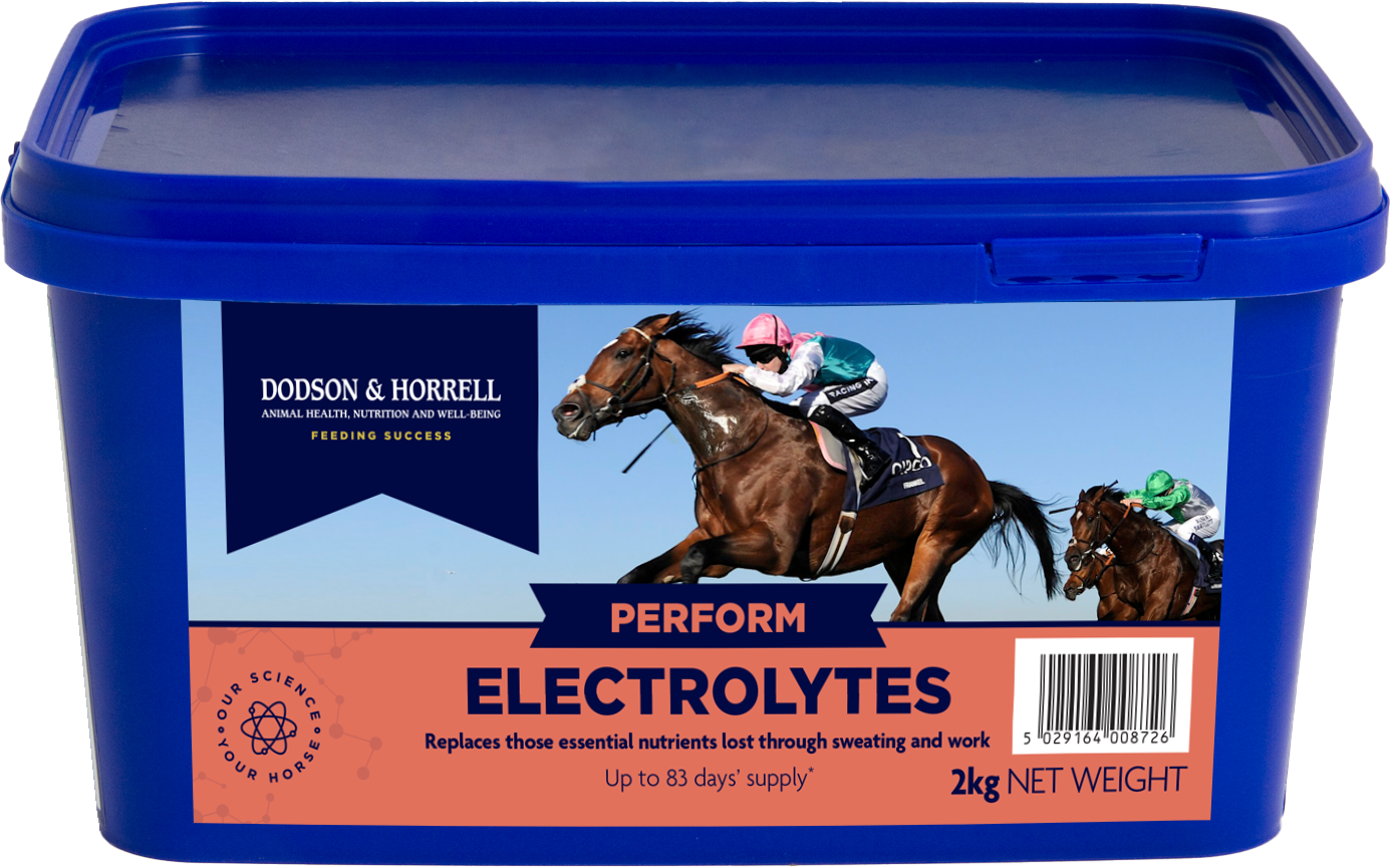 Dodson & Horrell Electrolytes 2kg