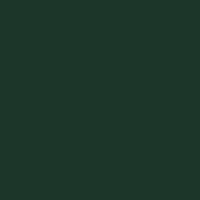 Fir Green ST9 ABS Edging 23 x 2mm x 75Mtr