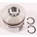 PISTON BODY C/W CLIPS