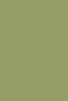 Olive Colour Swatch