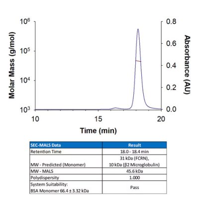 Protein, Recombinant Human FCRN Protein, CF, 50 &micro;g