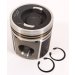 PISTON BODY C/W CLIPS