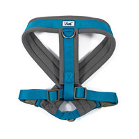 Ancol Viva Padded Harness Large 52-71cm Blue x 1