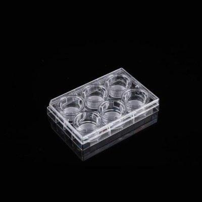 Single 6 Well Plate + 6 Cell Culture Inserts, PET Membrane, 8&mu;m, Non-Treated, Sterile, 4 plates