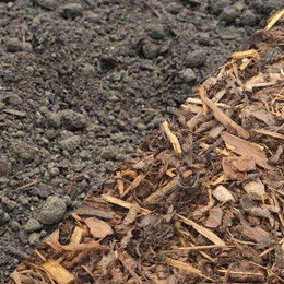 Topsoil Bark