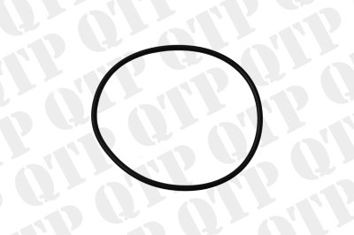 Engine Breather O-Ring