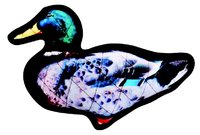 * Country Pet Dog Toy - Tuff Duck Large x 1