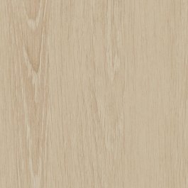 White Ash - CT100