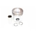 PISTON, PIN & CLIPS