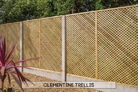 Clementine Diamond Trellis 1.8 x 1.8 Metre (6x6ft) 20/30mm gap