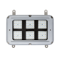 Zone 1 Bulkhead Light - Intelligent Emergency