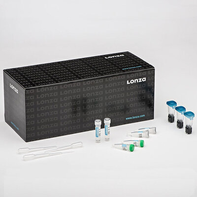 Cell Line Kit SF, 4D-Nucleofector X Kit, 12 reactions, 100 µL Nucleocuvette Vessels