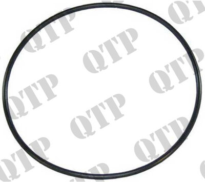 409674_Water_Pump_O_Ring.jpg