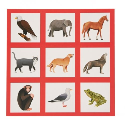 This Animal Bingo Set gets patients interacting and stimulates their mind and brain.