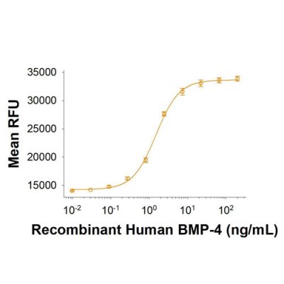 Protein, Recombinant Human BMP-4 Protein, 10 &micro;g