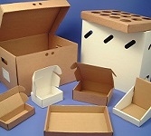 Cardboard Boxes