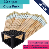 Hogfitch Round Mix Class Pack w/ Free 96pcsBrush Stand - 30pcs +