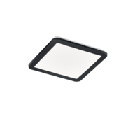 Trio Camillus Matt Black Ceilling Light 30CM