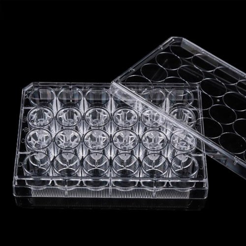 Single 24 Well Plate + 12 Cell Culture Inserts, PET Membrane, 1&mu;m, Non-Treated, Sterile, 4 plates