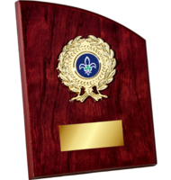 17cm Arched Rose Plaque (V2251)