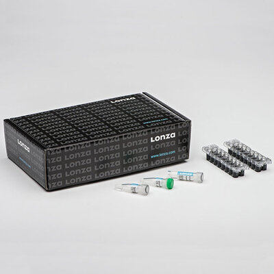 Primary Cell Kit, P2, 4D-Nucleofector X Kit, 32 reactions, 16-well Nucleocuvette Strips