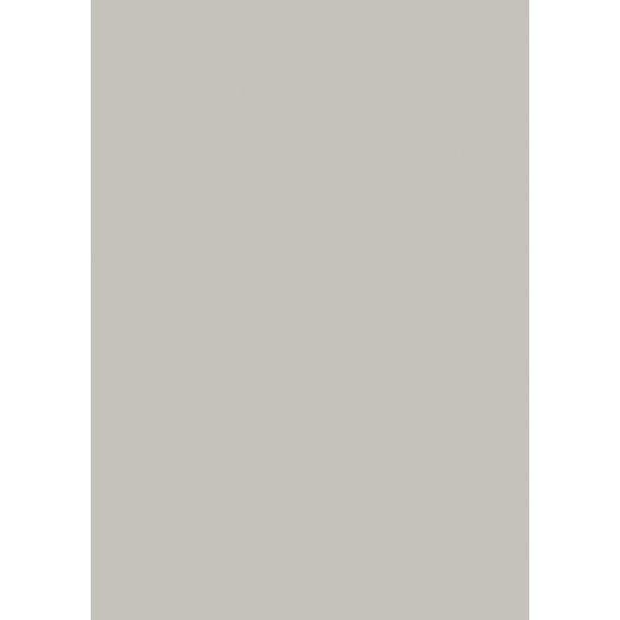 Farrow & Ball Pavilion Gray Colour Swatch
