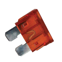 40 Amp Blade Fuse