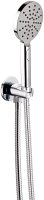 SHOWER HEAD AND BRACKET CHROME