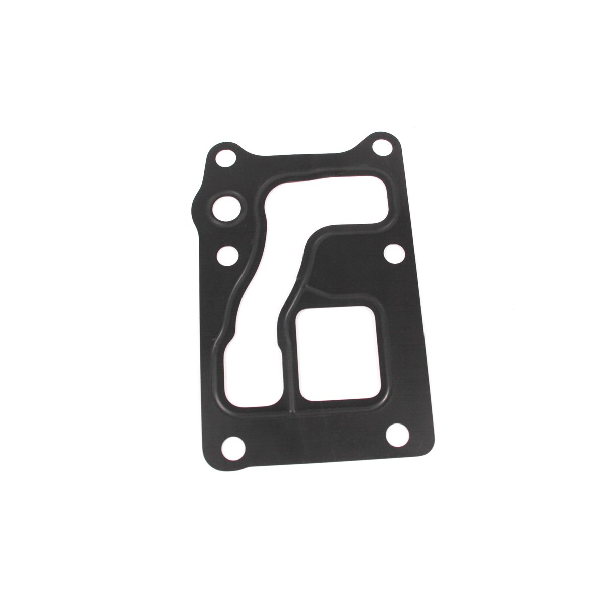 GASKET - OIL COOLER