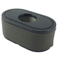 Genuine GGP Air Filter