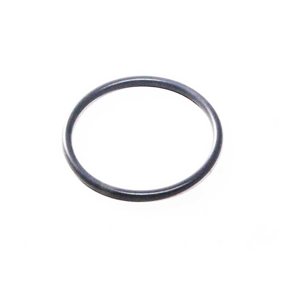 SEAL O-RING INJECTOR