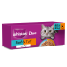 Whiskas Adult Cat Duo Surf and Turf in Jelly 40x85gm FD16F
