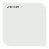 Signature Subtle Kelp Vinyl Soft Sheen Colour Swatch