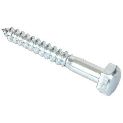 Coach Screw ZP M10x100 25021101048
