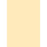 Farrow & Ball Farrows Cream No.67 Colour Swatch