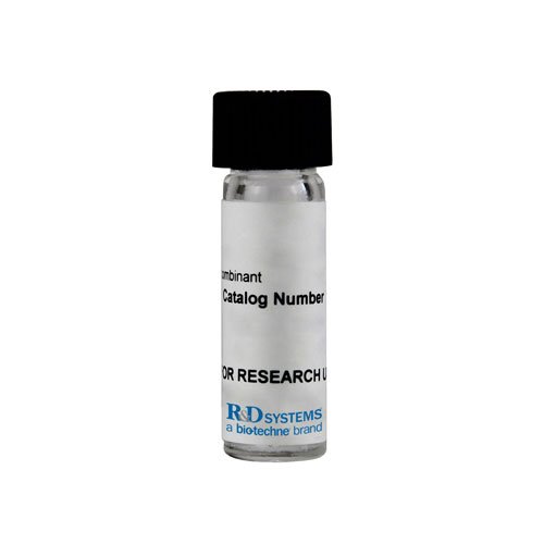 Protein, Recombinant Human FGF basic/FGF2/bFGF (146 aa) Protein, 25 &micro;g