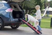 Henry Wag Lightweight Folding Dog Ramp x 1