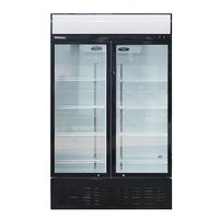 Blizzard Glass Door Merchandiser GD630 Double Door