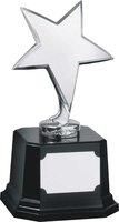 17cm Silver Metal Star on Plinth