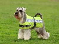 Petlife Flecta Vizlite Dog Jacket - 12"/30cm Hi Viz Yellow x 1