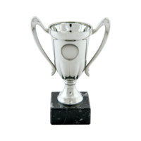 16cm Plastic Silver Cup to suit Centre