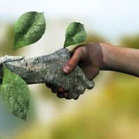 Eco Friendly Chemicals 