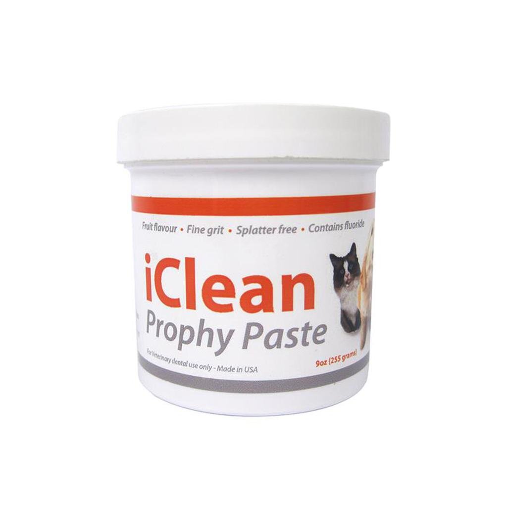 Prophy Paste iClean 255g iM3 J.A.K Marketing