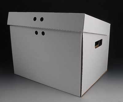 Archival Storage Box